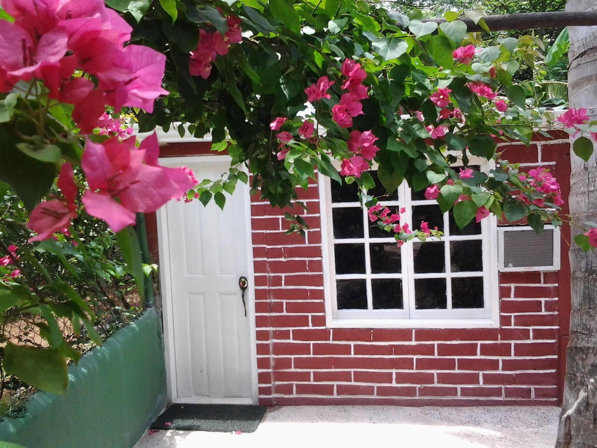San Andres Ultd Inn Rnt # 30017 エクステリア 写真
